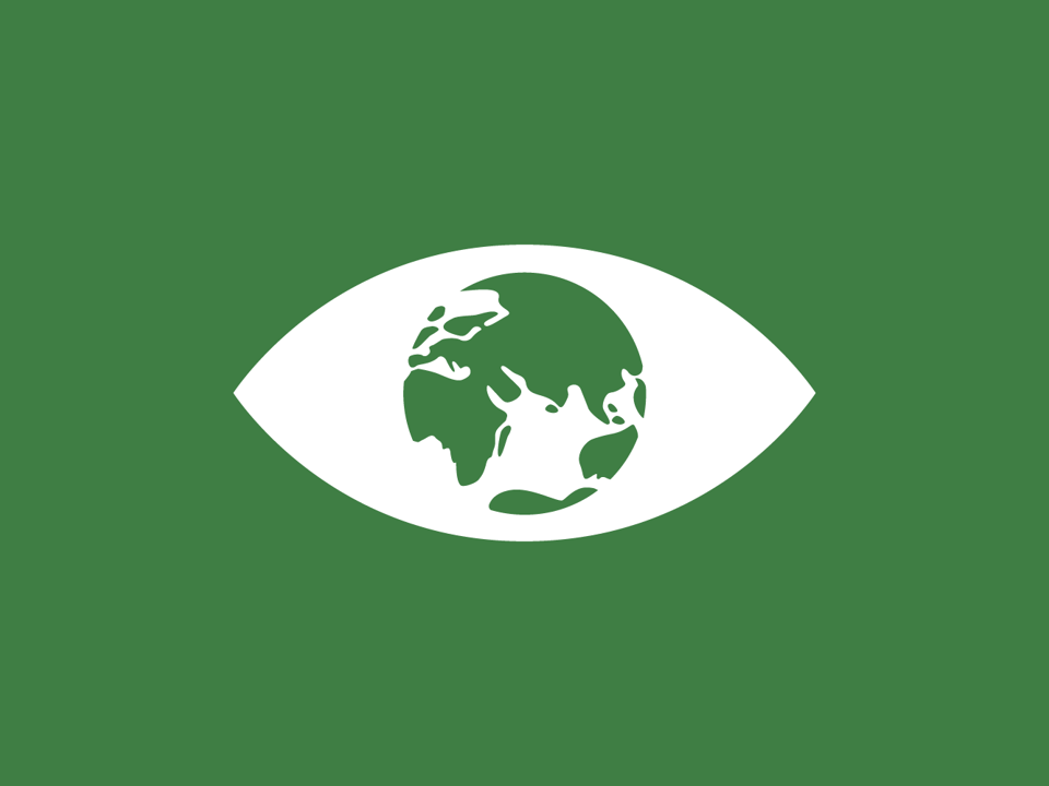 icon of the earth inside an eye