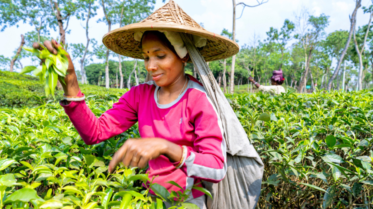 How climate change impacts women at work