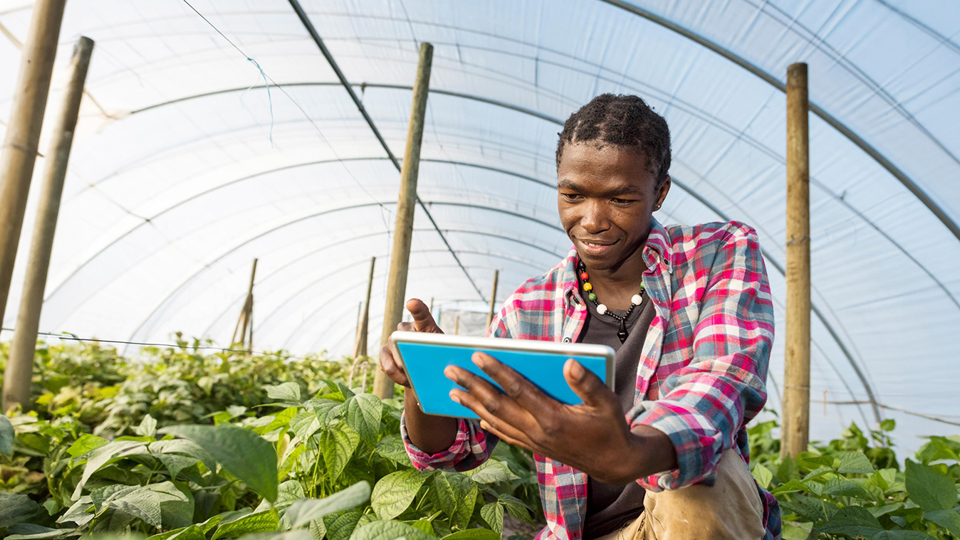 Guidance and resources