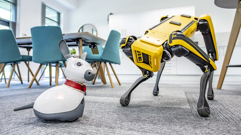 Spot and Miro, collaborative robots from the University of Nottingham