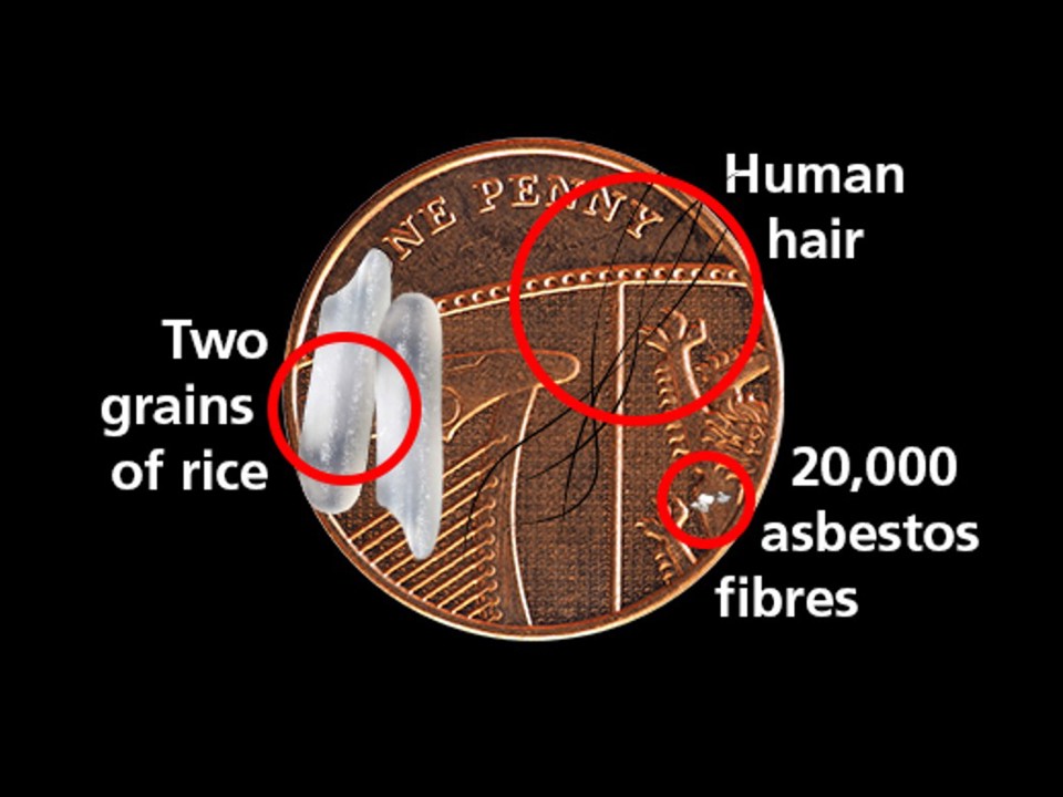 Comparison showing 20,000 asbestos fibres to be significantly smaller than two grains of rice and a human hair.