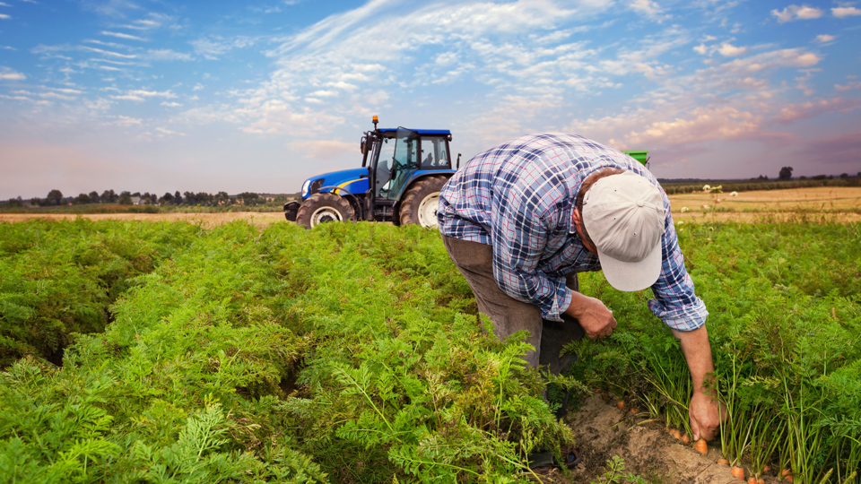 Green transition a “once-in-lifetime” chance to improve work conditions