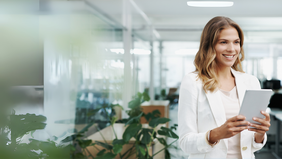 Get formal qualifications