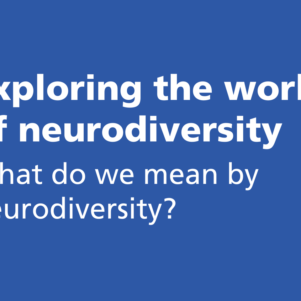 What do we mean by neurodiversity?