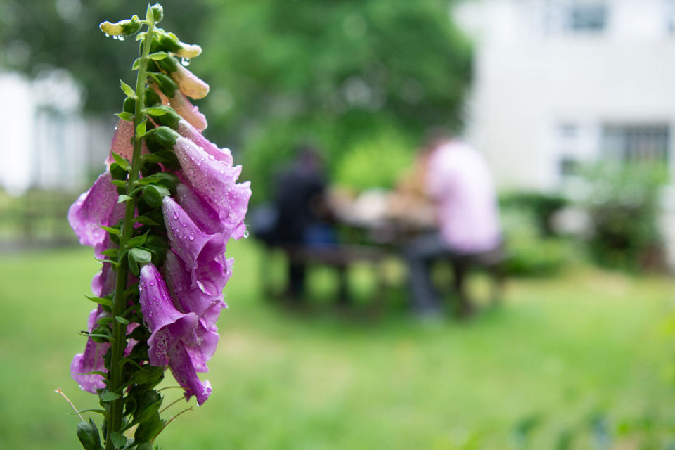 How does your workplace garden grow?
